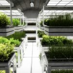 MarsOne-Farm5-HR-BV